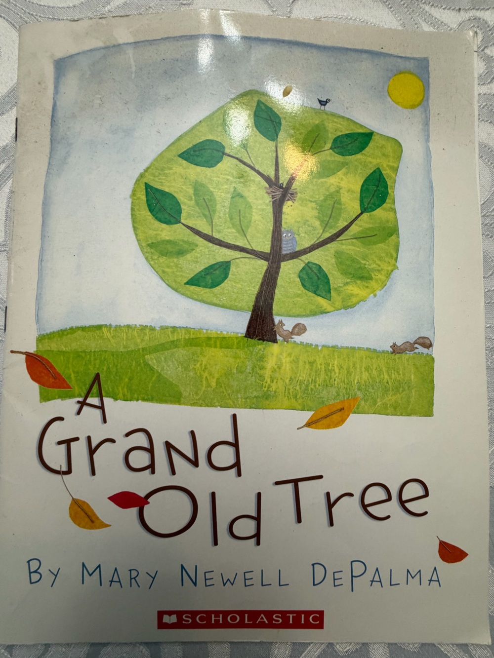 Scholastic A Grand Old Tree Children’s Picture Book